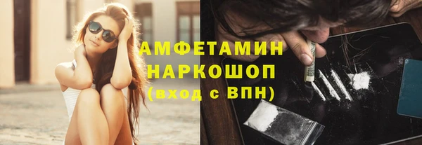 сатива Магас