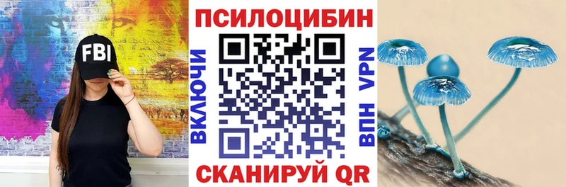 дарк нет как зайти  Нижний Ломов  Галлюциногенные грибы ЛСД  наркотики 